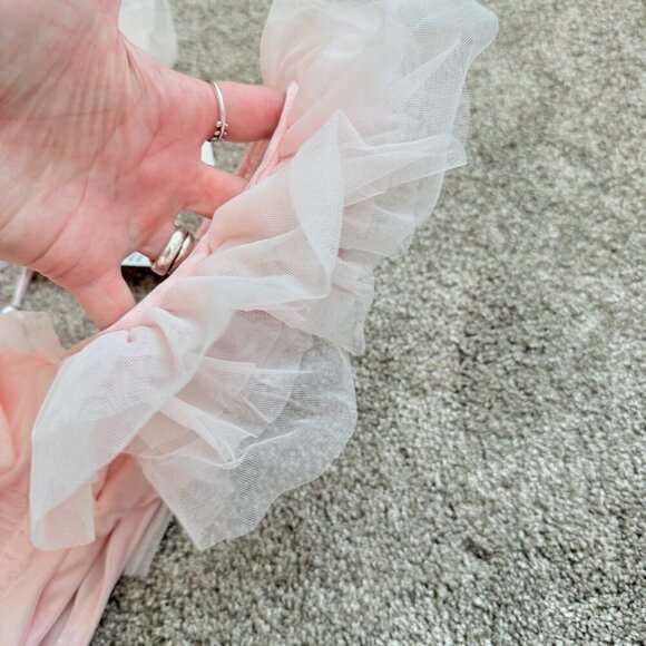 NEW AMY JANE LONDON Amy Jane London Evangeline Ruffle Maxi Dress Pink Size XS - Picture 7 of 15